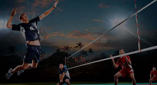 Voleibol